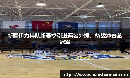 新疆伊力特队新赛季引进两名外援，备战冲击总冠军